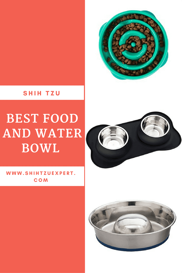 Best food and water bowl for Shih Tzu Reviews and A buyers guide (November 2017)