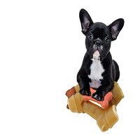 Low Fat Dog Food Is this another Fad Diet? or does it have Real Benefits?