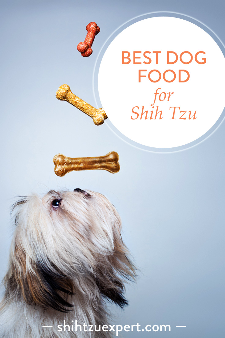 Best dog food for Shih Tzu– Buyer’s Guide