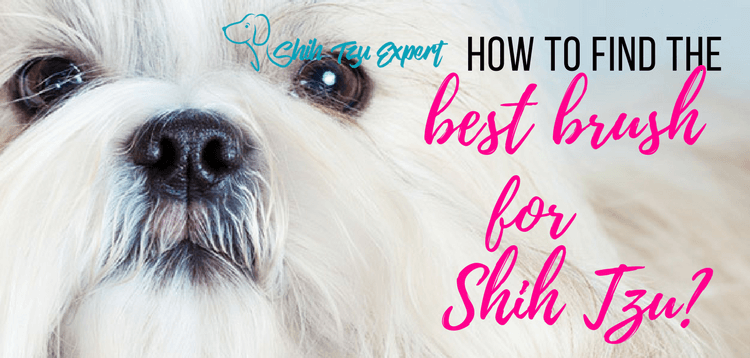 How to find the best brush for Shih Tzu