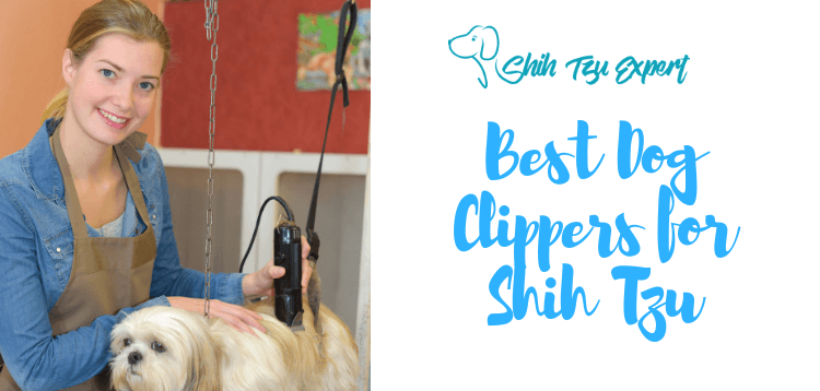 pet grooming clippers
