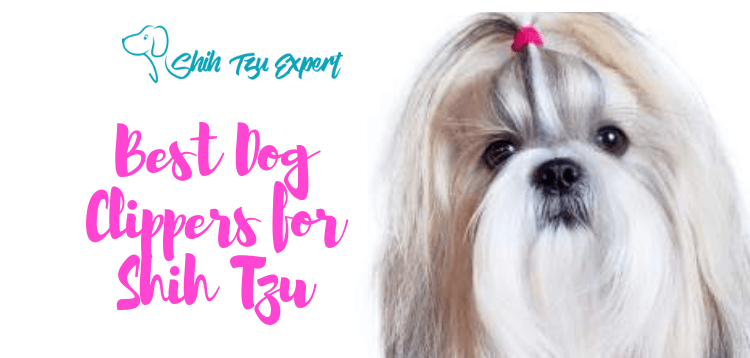 12 Best Dog Clippers for Shih Tzu [Fun & Easy Grooming]