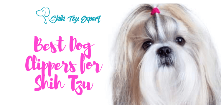 Best Dog Clippers for Shih Tzu