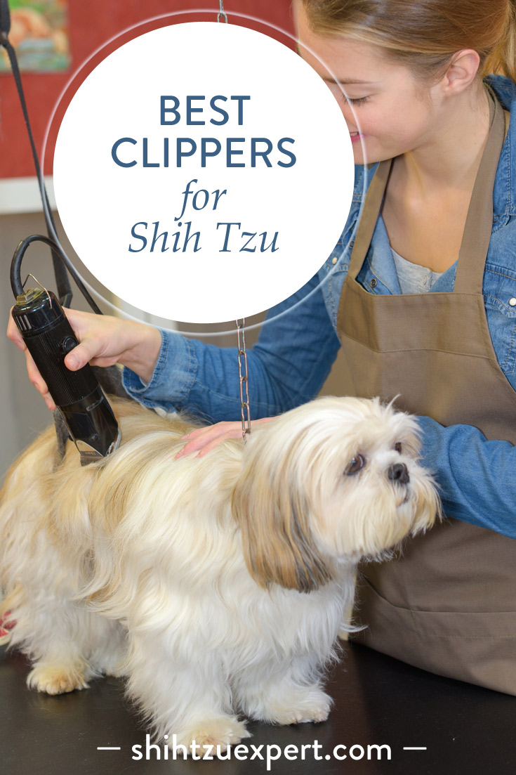 Best clippers for Shih Tzu – Buyer’s Guide