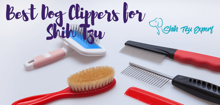 Best thinning shears for Shih Tzu