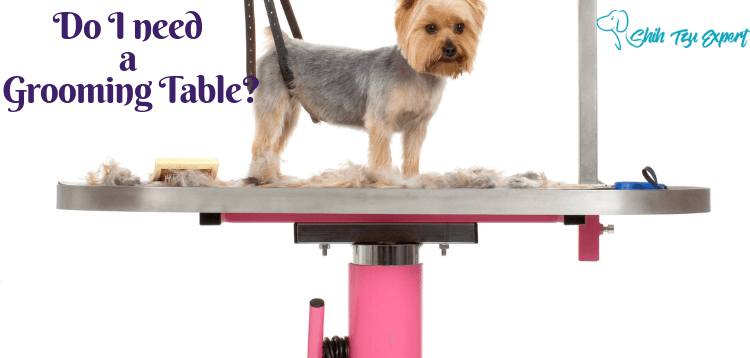 Dog Grooming Table - Do I need one?