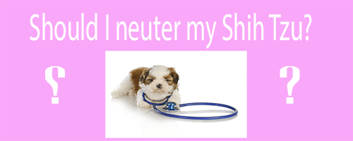 Does neutering a dog change his personality?