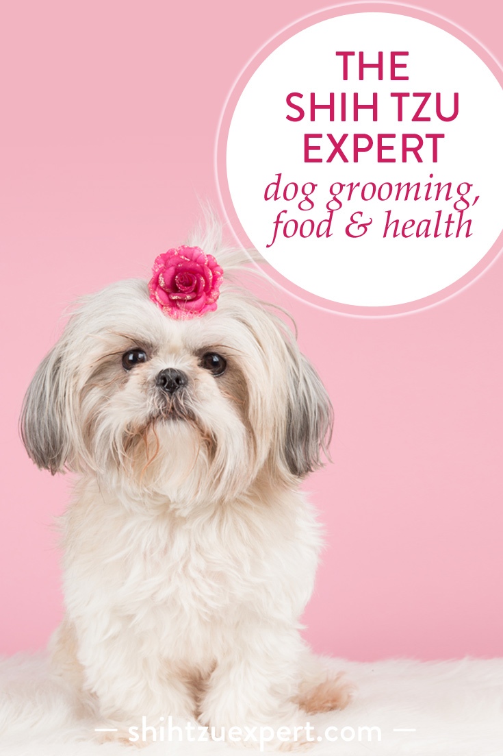 The Shih Tzu Expert • Dog Grooming, Food & Health