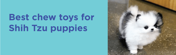 Best chew toys for Shih Tzu puppies