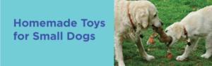 Homemade Toys for small dogs