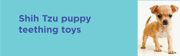 Shih Tzu puppy teething toys