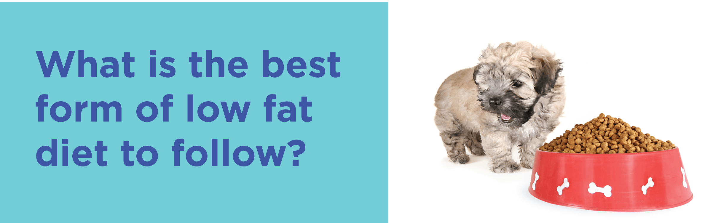 What is the best form of low fat diet