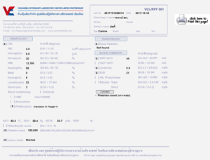 Laboratory Result