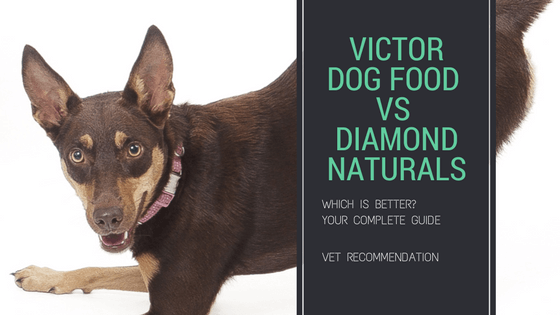 Victor Dog Food vs Diamond Natural