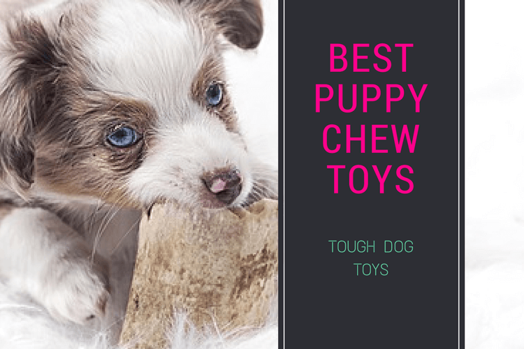Best Puppy Chew Toys : Most popular and safe chew toys for Teething Puppies!