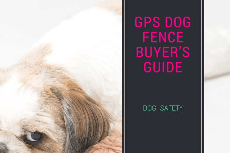GPS Dog Fence Buyer’s Guide 2- Best Products in the Market [But Which One is Better?]