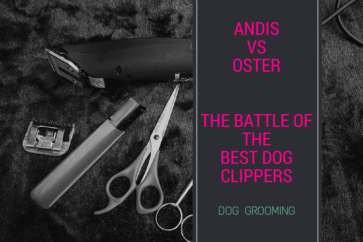 Andis vs. Oster_ Battle of the Best Dog Clippers Featured (1)