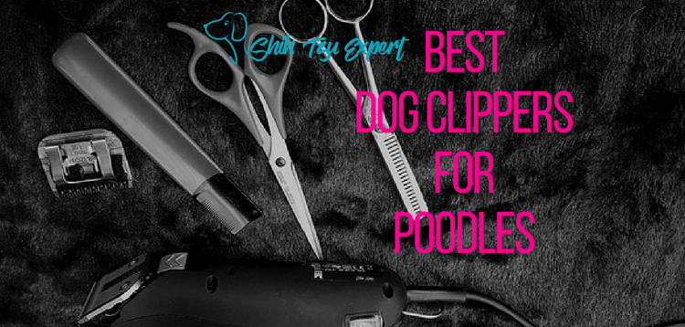 Best Dog Clippers for Poodles  [Safe & Easy to Use]