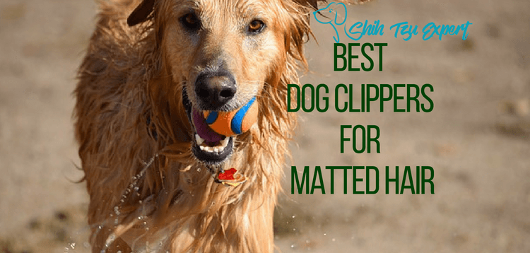 Best Dog Clippers for Matted Hair [Pet Safe]