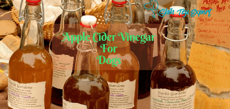 can apple cider vinegar hurt dogs