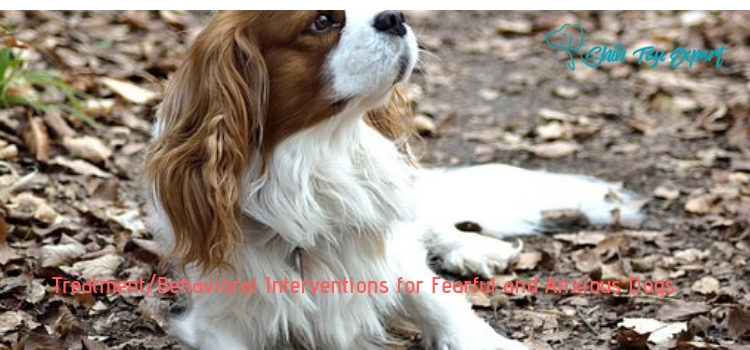 Treatment_Behavioral Interventions for Fearful and Anxious Dogs