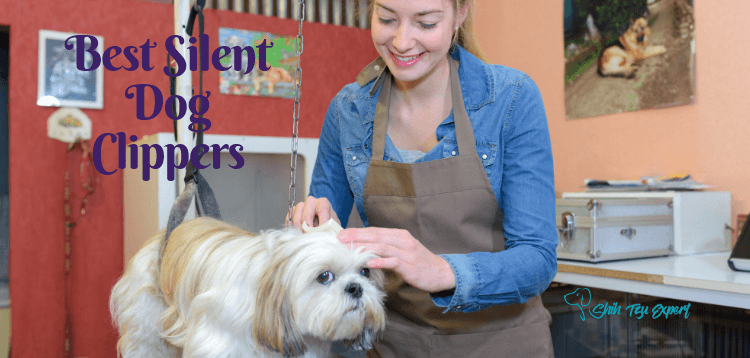 what is the quietest dog clipper