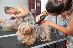 what are the best clippers for matted dogs