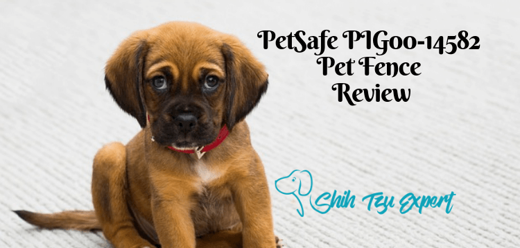 PetSafe PIG00-14582 Pet Fence Review