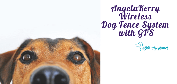 AngelaKerry Wireless Dog Fence System with GPS