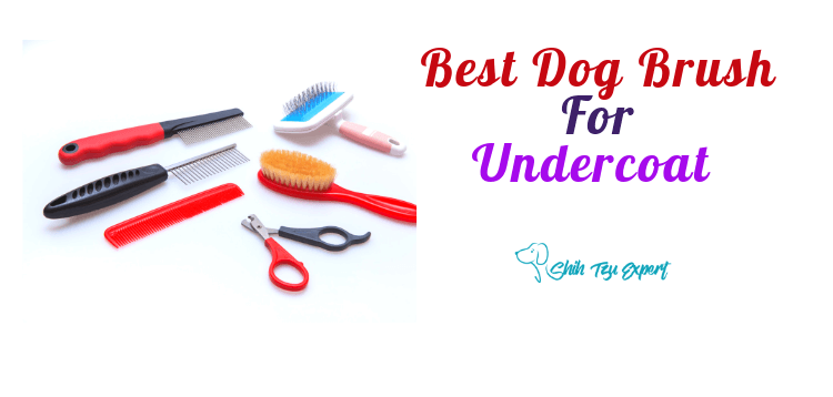 Best Dog Brush For Undercoat