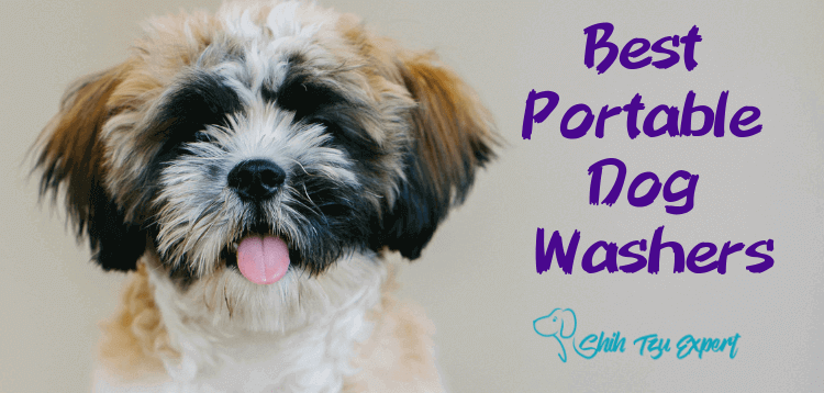 Best Portable Dog Washers for Keeping pups Clean