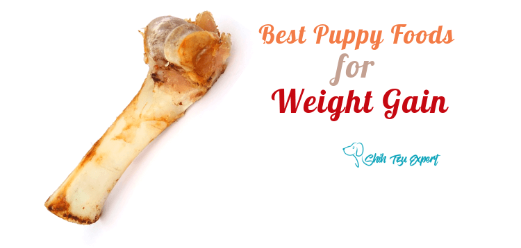 Best Puppy Foods for Weight Gain