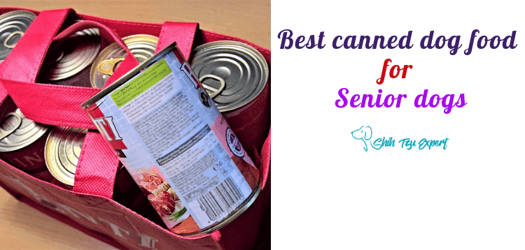 best canned dog food for senior dogs