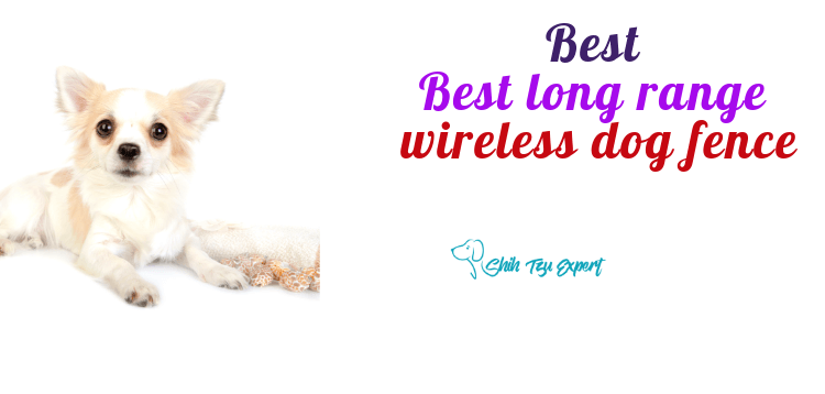 best long range wireless dog fence
