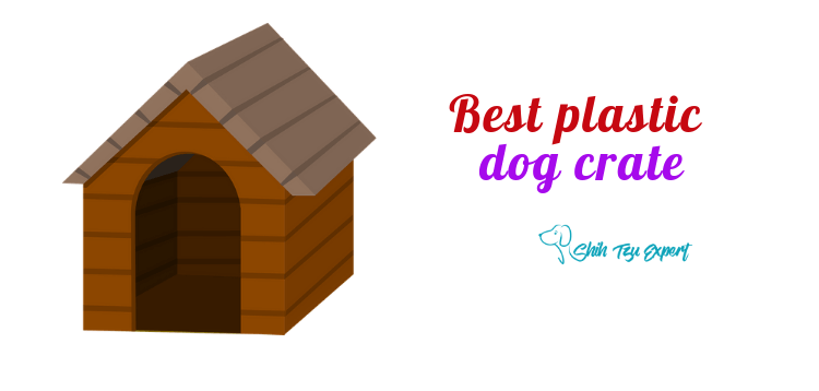 Best plastic dog crate