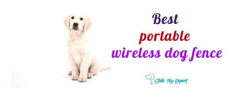 Best Portable Wireless Dog Fence