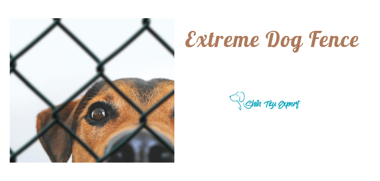 Extreme Dog Fence