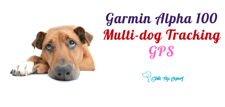 Garmin Alpha 100 Multi-dog Tracking GPS