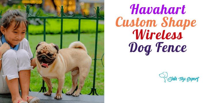Havahart Custom Shape Wireless Dog Fence