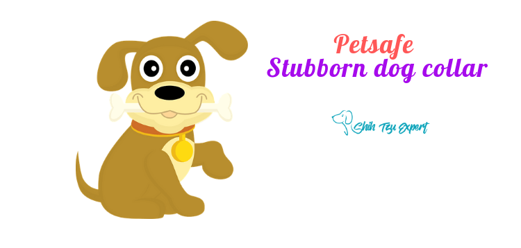 Petsafe stubborn dog collar