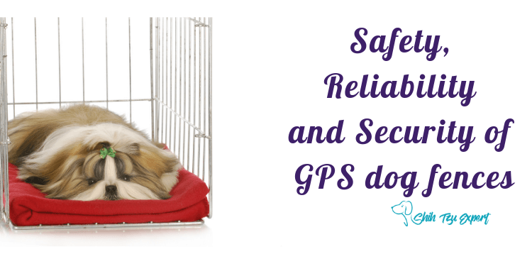 Safety, Reliability and Security of GPS dog fences