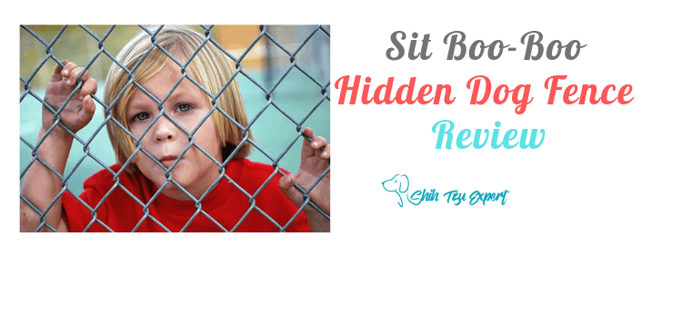 Sit Boo-Boo Hidden Dog Fence Review