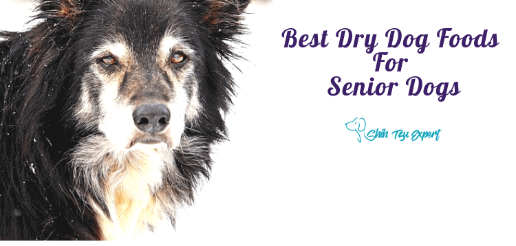 The Best Dry Dog Foods For Senior Dogs