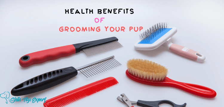 The Important Health Benefits of Grooming Your Pup