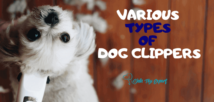 Various Types of Dog Clippers