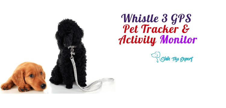 Whistle 3 _ GPS Pet Tracker & Activity Monitor