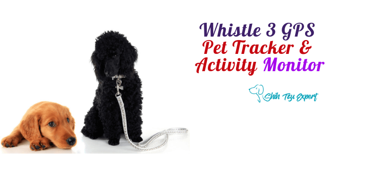 Whistle 3: GPS Pet Tracker & Activity Monitor Whistle 3 _ GPS Pet Tracker & Activity Monitor