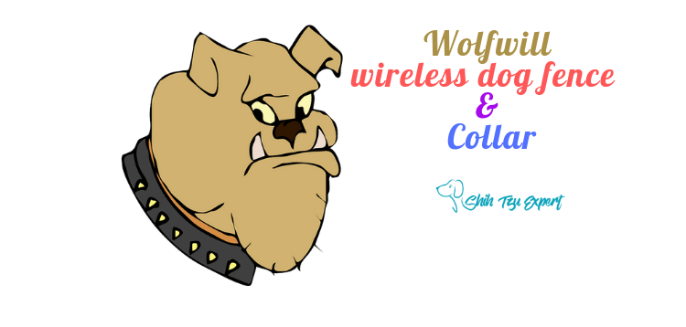Wolfwill wireless dog fence & Collar