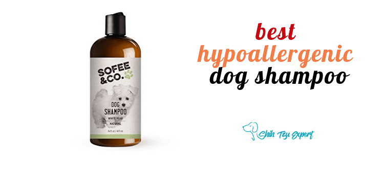 Best Hypoallergenic Dog Shampoo