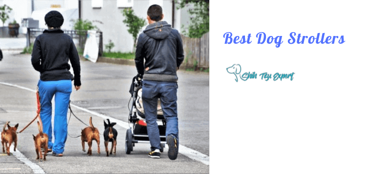 Best Dog Strollers